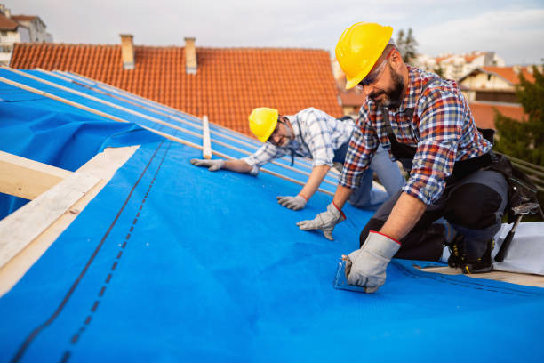 Best Residential Roofing Contractor  in Dowagiac, MI